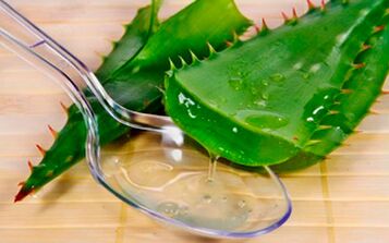 Aloe leaf juice for cell regeneration of the male body
